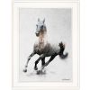 "Galloping Stallion" by Andreas Lie, Ready to Hang Framed Print, White Frame