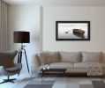 "Solitude" by Moises Levy, Ready to Hang Framed Print, Black Frame